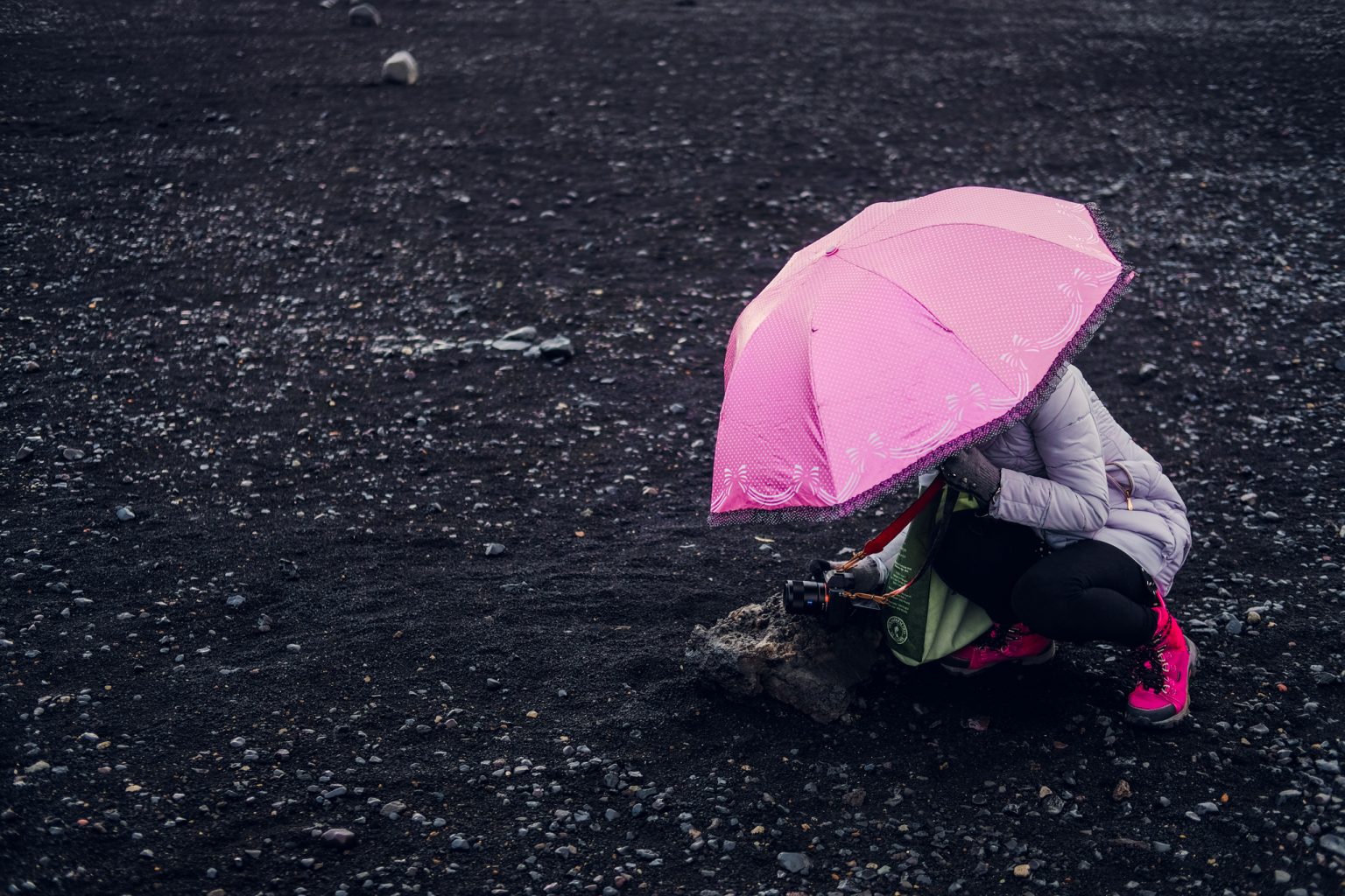 Pink Umbrella